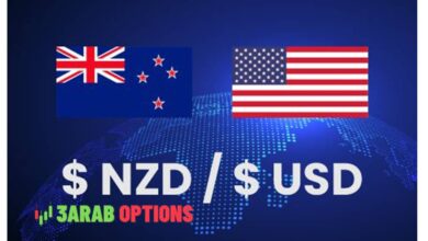 سعر زوج NZDUSD في نطاق ضيق – توقعات اليوم - 18-10-2024.