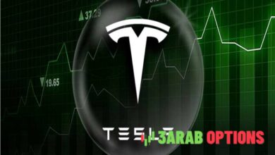 احتياطي بيتكوين من Tesla لم يتغير في الربع الثالث من عام 2024.