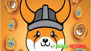 Floki وBNB Chain تطلقان منصة إطلاق Meme Coin GraFun. 18 Floki وBNB Chain تطلقان منصة إطلاق Meme Coin GraFun.