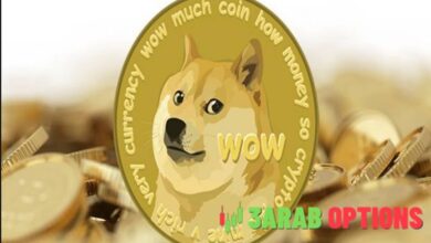 لماذا يرتفع سعر Dogecoin اليوم؟