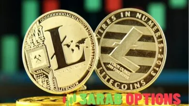 تراجعت عملة لايتكوين بنسبة 11% ضمن تداول هبوطي وسط عمليات بيع قوية.