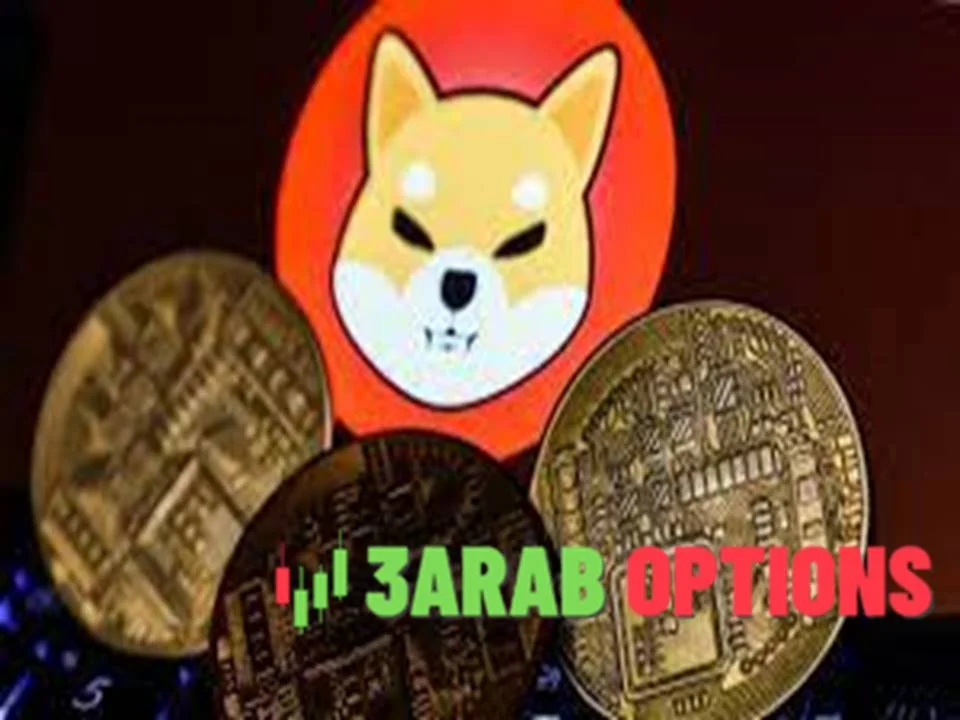 توقعات سعر عملة شيبا إينو مع ارتفاع حجم تداولها إلى 600 مليون دولار؛ فهل حان الوقت لشرائها؟ 1 تخطط شركة Shiba Inu Exec Shares لحرق المزيد من الرموز، هل يصل سعر SHIB إلى 0.0003 دولار؟