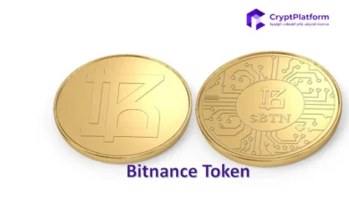 متداولوا عملة شيبا إينو (SHIB) يسارعون إلى بيع العملة المسبق على منصة بينانس – تم بيع 52000 عملة حتى الآن.