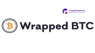 بيع العملات المشفرة: WBTC Smart Money تحقق ربحًا بقيمة 14 مليون دولار، وبيتكوين عند 59 ألف دولار.