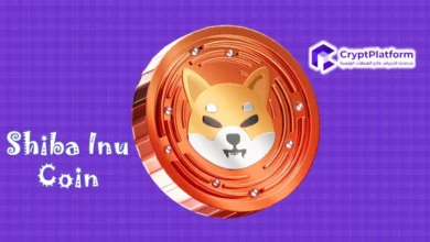 معدل حرق SHIB يرتفع بنسبة 320٪، فهل يؤدي ذلك إلى ارتفاع سعر Shiba Inu؟